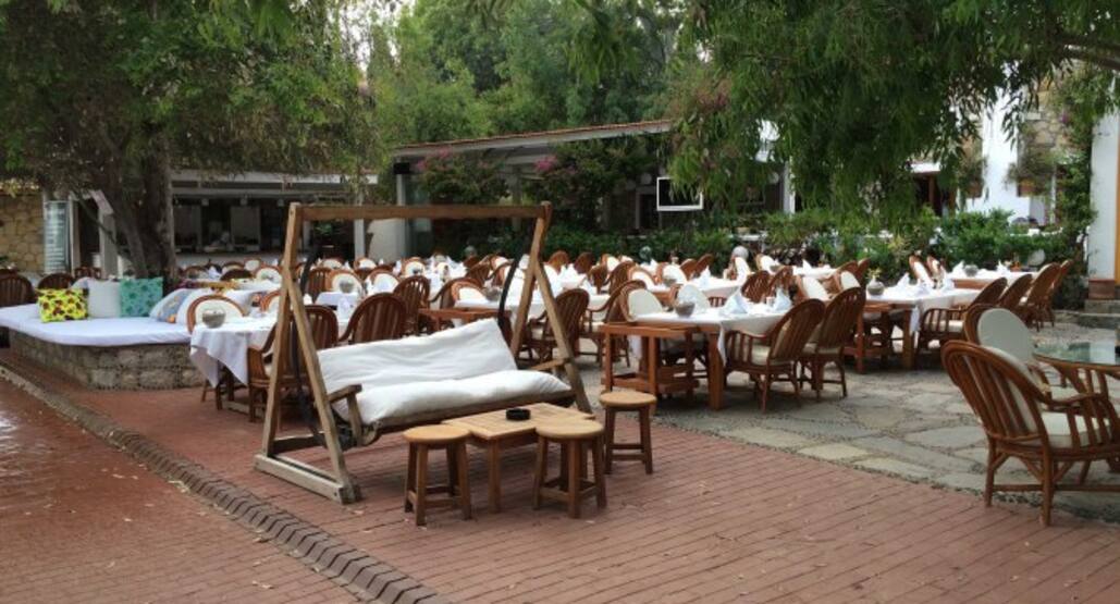 Okaliptus Cocktail Bar Photos Pictures Of Okaliptus Cocktail Bar Bodrum Zomato